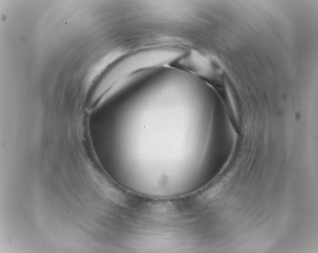 X0000088661410200706152021