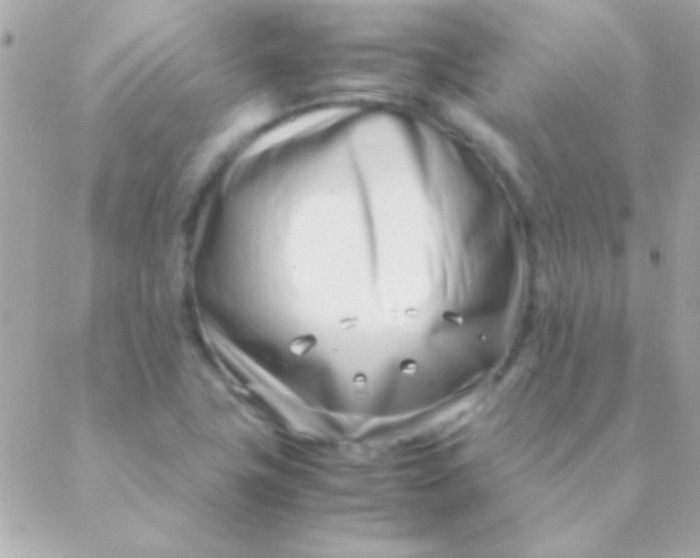 X0000088661411200706152021