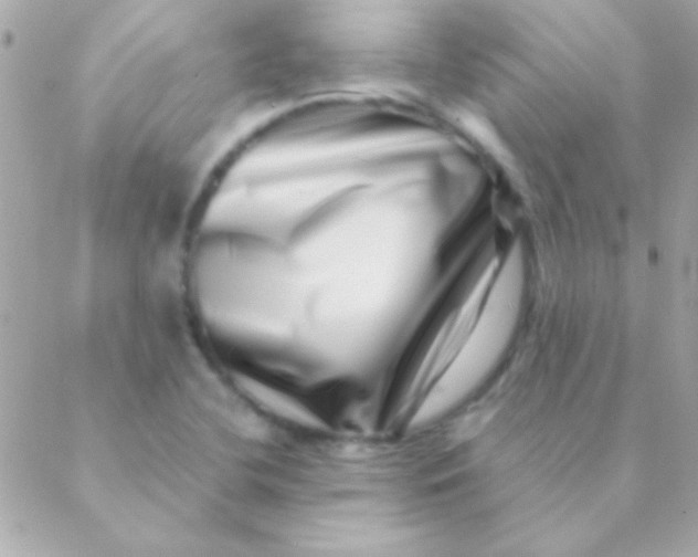 X0000088661412200706152021