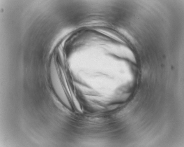 X0000088661413200706152021