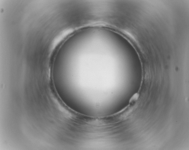 X0000088661414200706152021