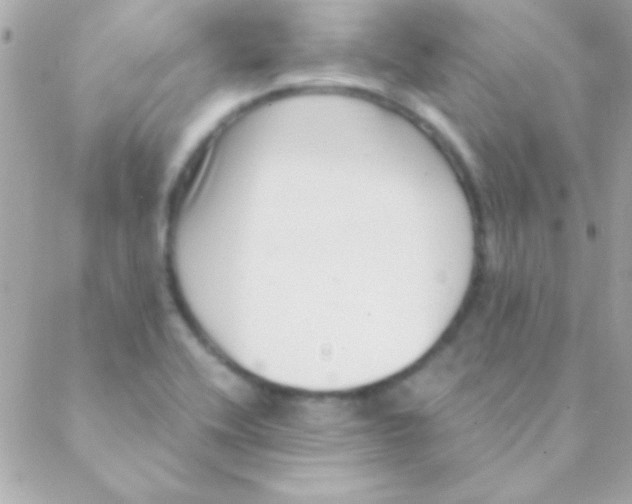 X0000088661416200706152021