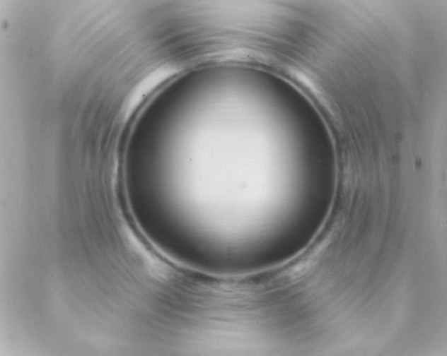 X0000088661418200706152021