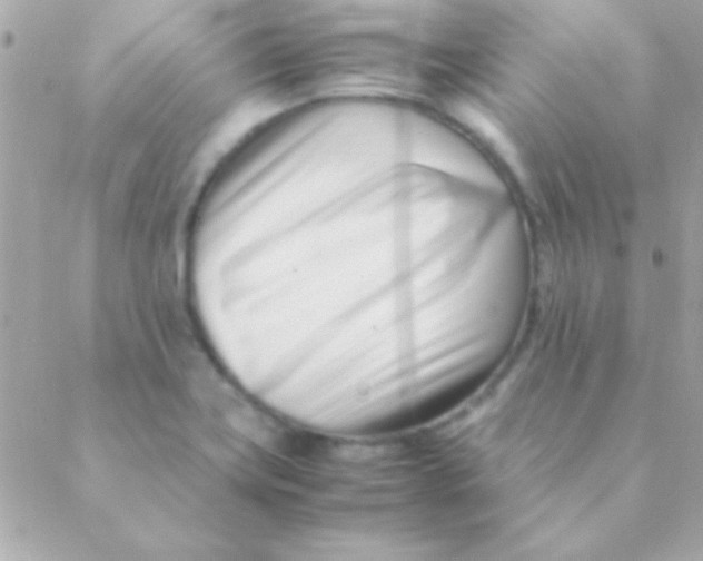 X0000088661419200706152021