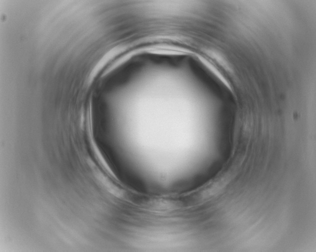 X0000088661420200706152021