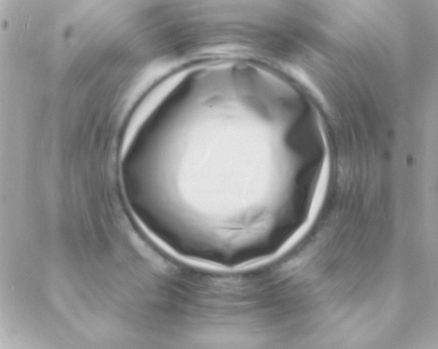 X0000088661421200706152021