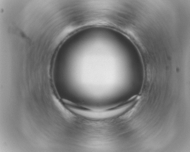 X0000088661422200706152021