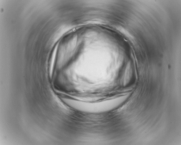 X0000088661423200706152021