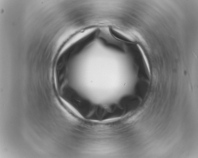 X0000088661424200706152021