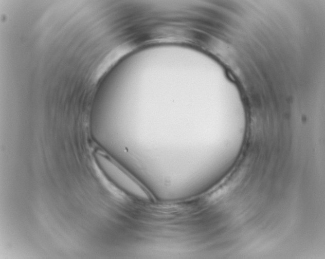 X0000088661425200706152021