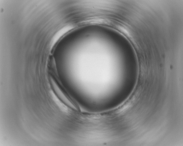 X0000088661426200706152021