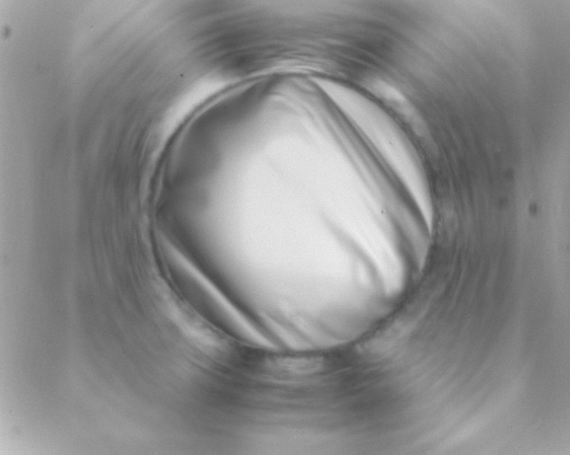 X0000088661427200706152021