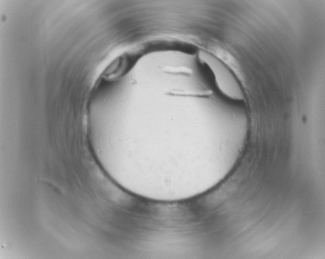 X0000088661428200706152021