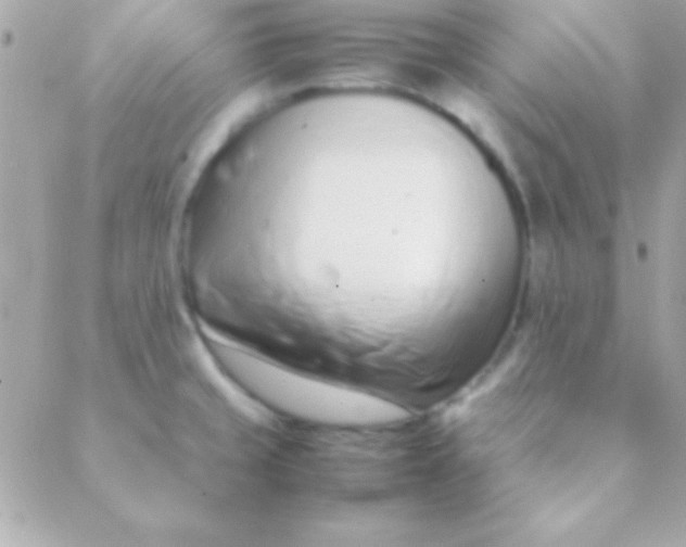 X0000088661429200706152021