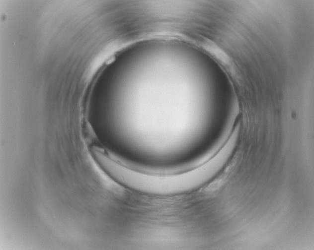 X0000088661430200706152021