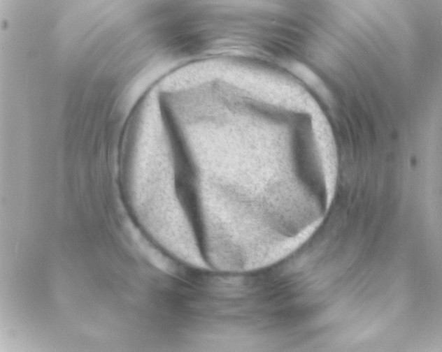 X0000088661431200706152021