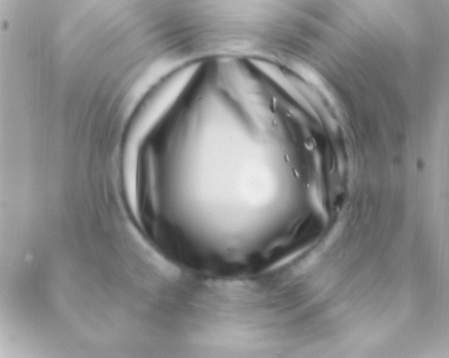 X0000088661432200706152021