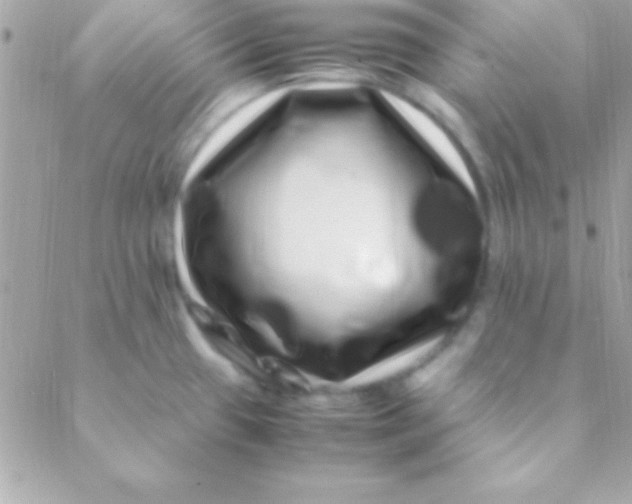 X0000088661433200706152021