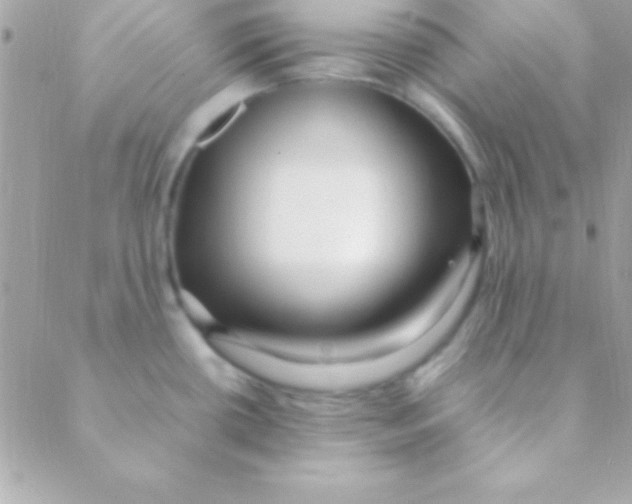 X0000088661434200706152021