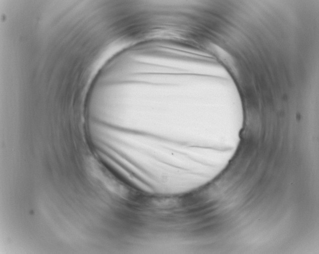 X0000088661435200706152021