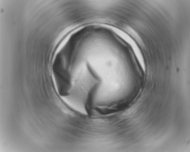 X0000088661436200706152021