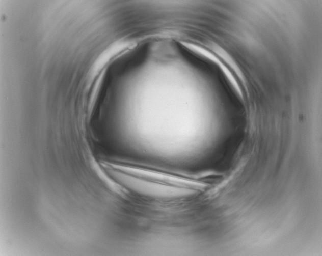 X0000088661437200706152021