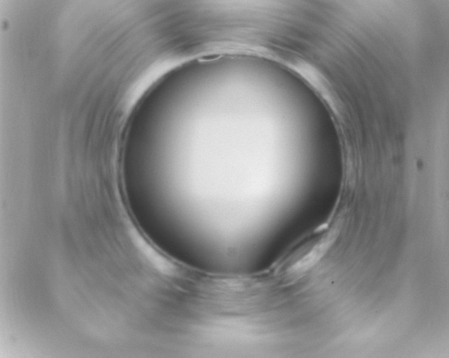 X0000088661438200706152021