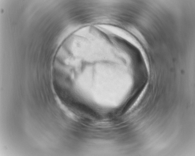 X0000088661439200706152021