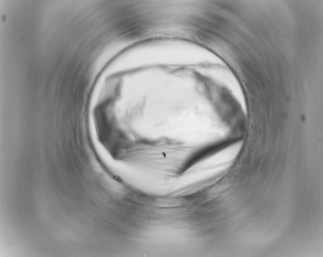 X0000088661440200706152021