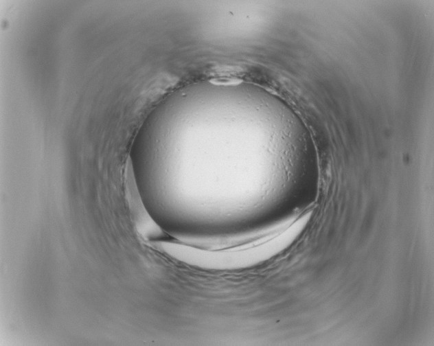 X0000088661441200706152021