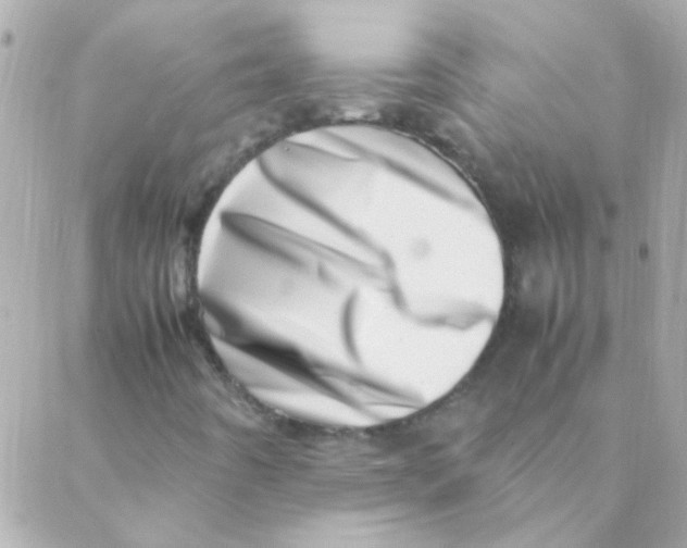 X0000088661442200706152021