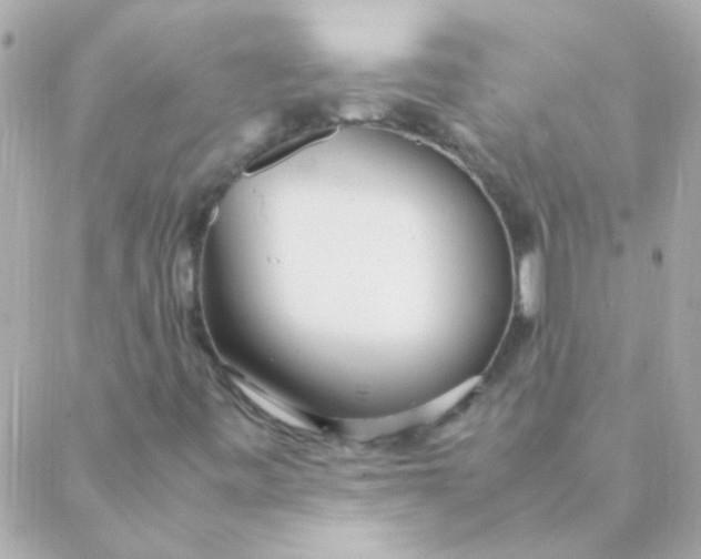 X0000088661443200706152021