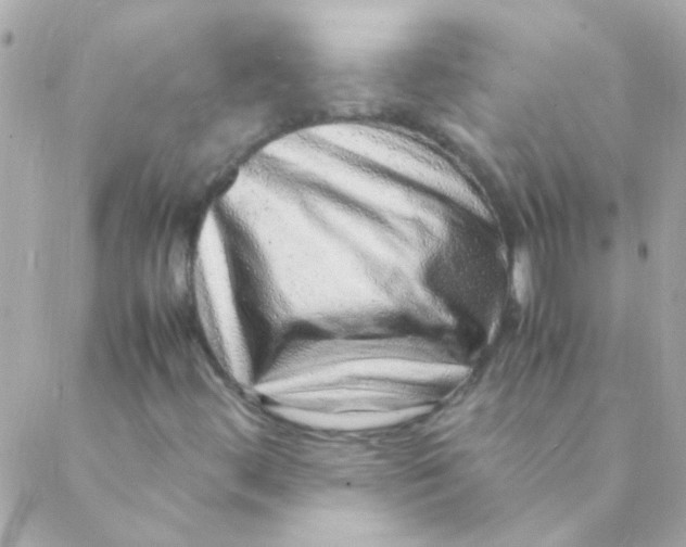 X0000088661444200706152021