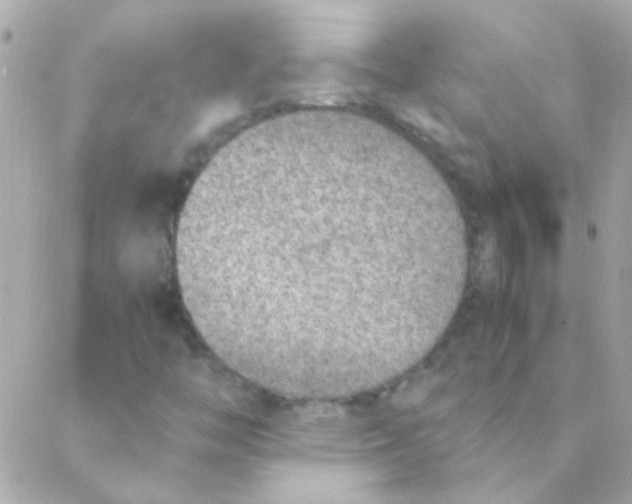 X0000088661446200706152020