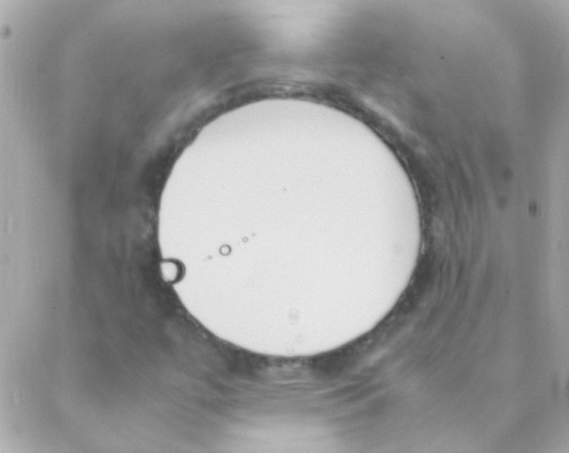 X0000088661447200706152020