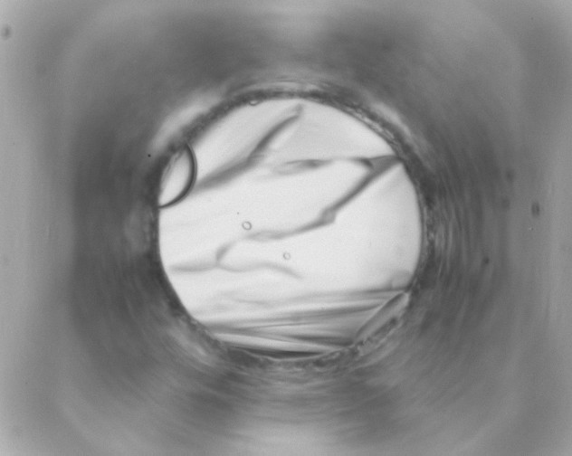 X0000088661448200706152020