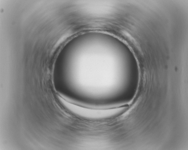 X0000088661449200706152020