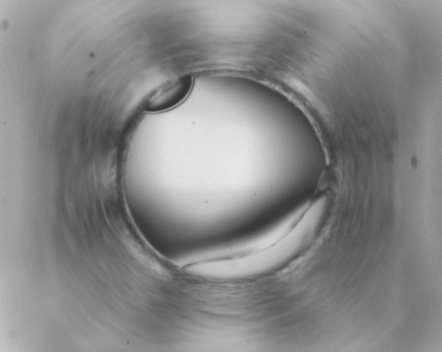 X0000088661450200706152020