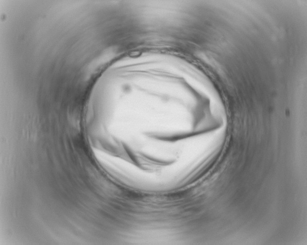 X0000088661451200706152020