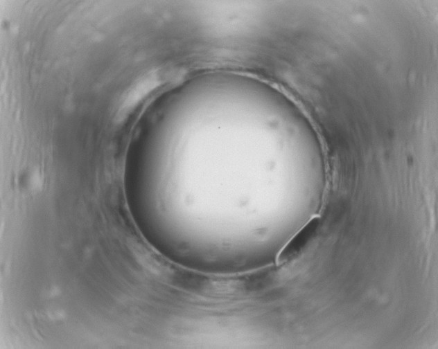 X0000088661453200706152020