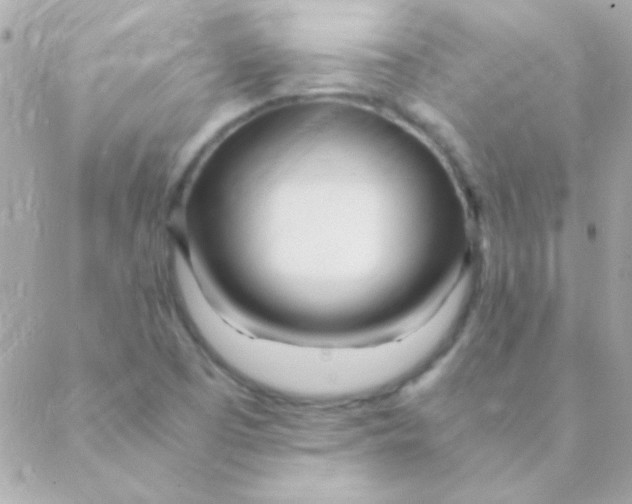 X0000088661457200706152020