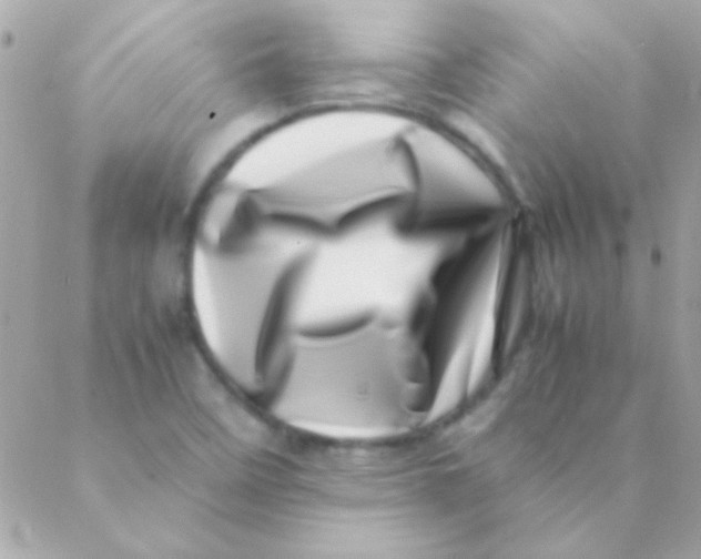 X0000088661458200706152020