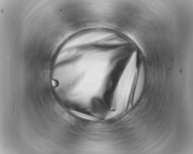 X0000088661460200706152020