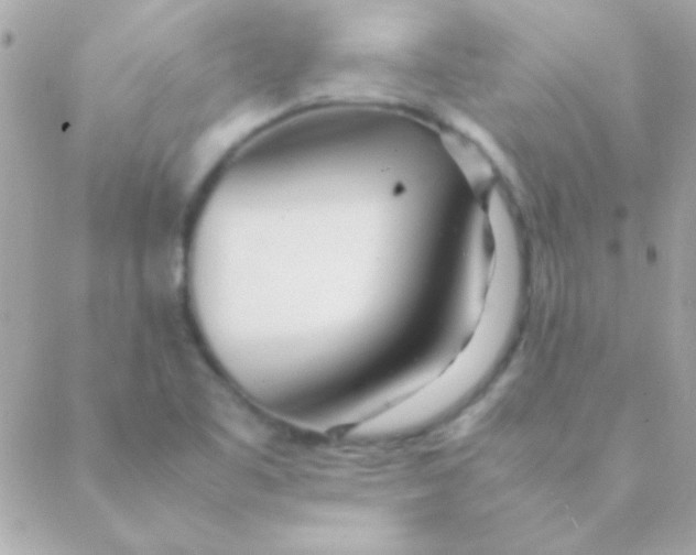 X0000088661461200706152020