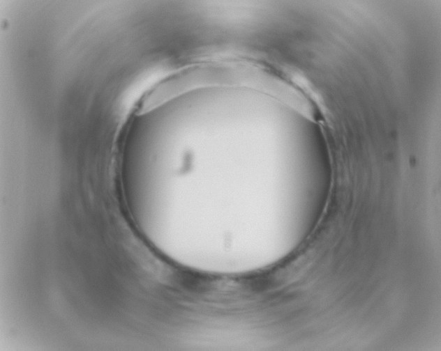 X0000088661463200706152020