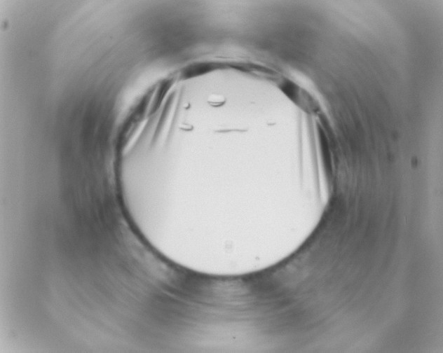 X0000088661464200706152020