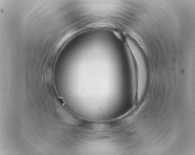 X0000088661465200706152020