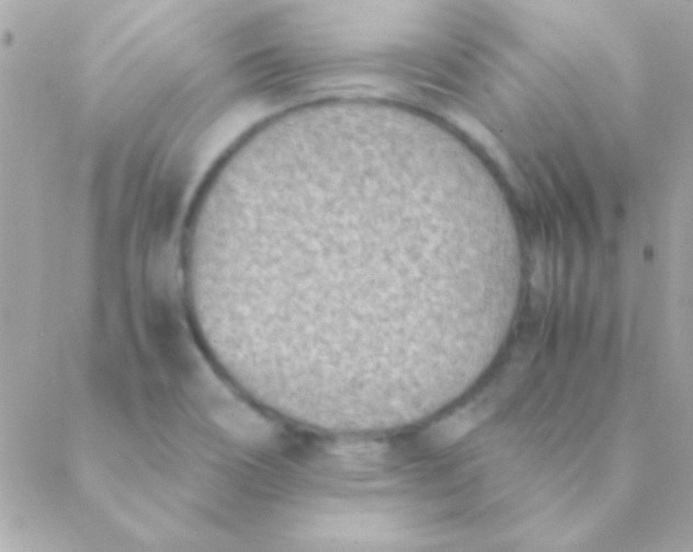 X0000088661466200706152020