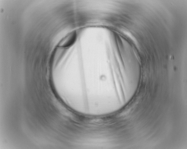 X0000088661467200706152020