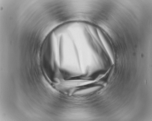 X0000088661468200706152020